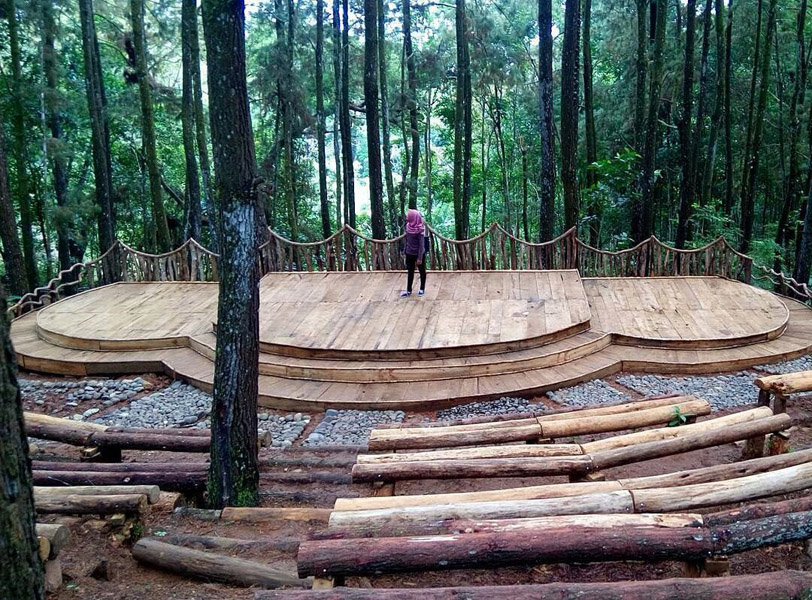 Hutan Pinus Mangunan Hutan Pinus Mangunan